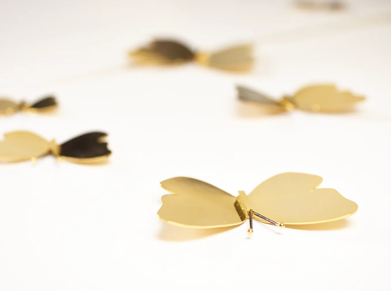 Brasswing Mirror — 3